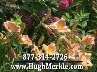 Stone Harbor Avalon Real Estate NJ - Find Vacation Rental Ho