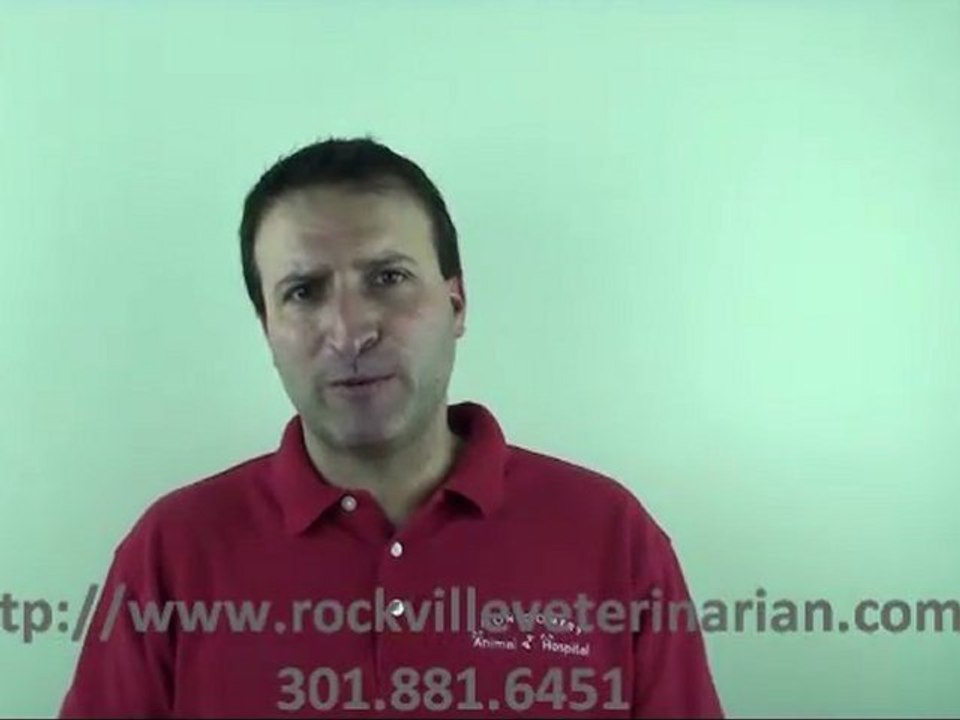 Montgomery Animal Hospital - Cost Of Visits