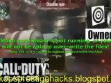 Call Of Duty Black Ops 15th Prestige Hack (15th ...