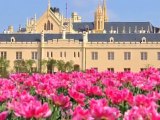 Lednice Castle - Great Attractions (Lednice, Czech Republic)