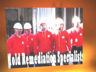 Mold Inspection Caldwell