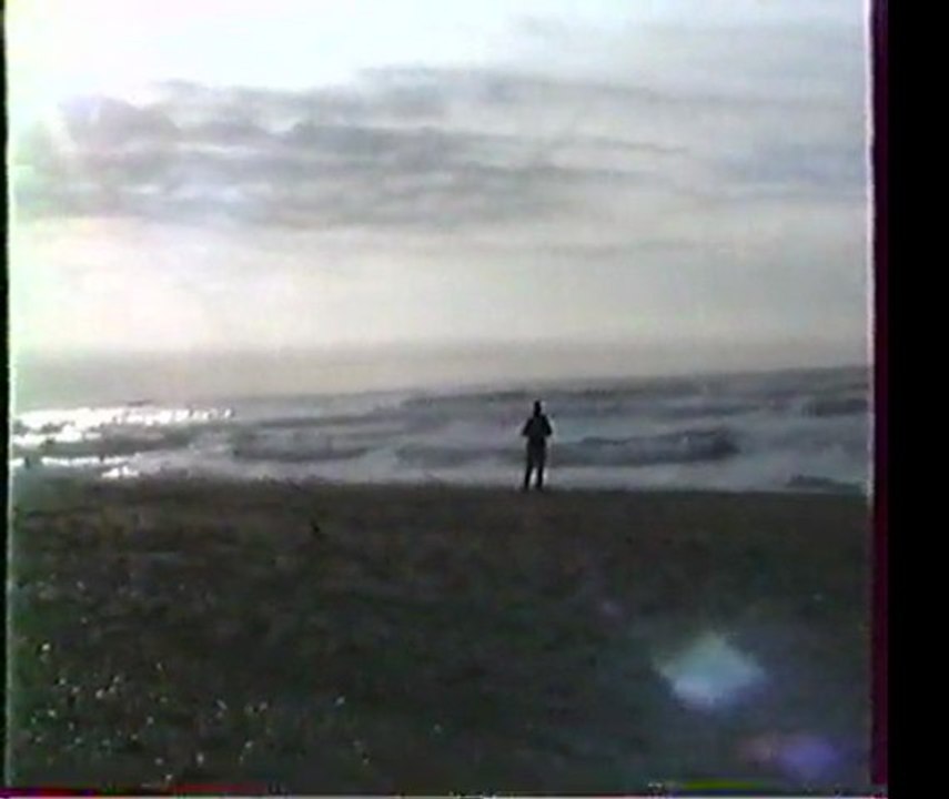 09 - Cerf-Volant 94