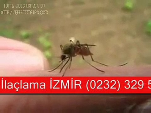 İZMİR ilaçlama 0232 329 59 02 TÜM HAŞERELER İÇİN GARANTİ