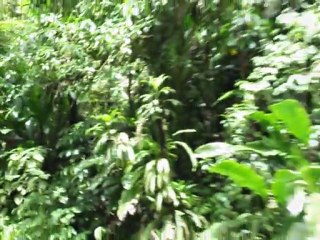 kaskade saut gendarme