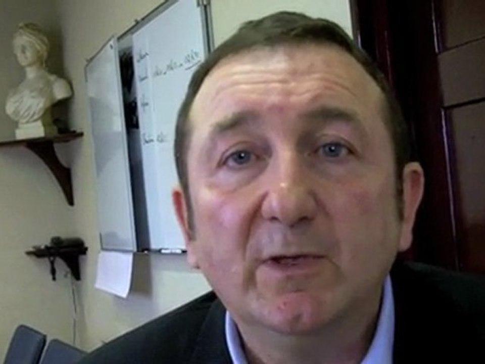 Patrice Raffarin - Les activités primaires