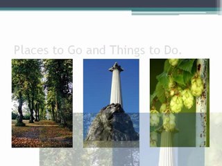 New Forest Cottage Breaks