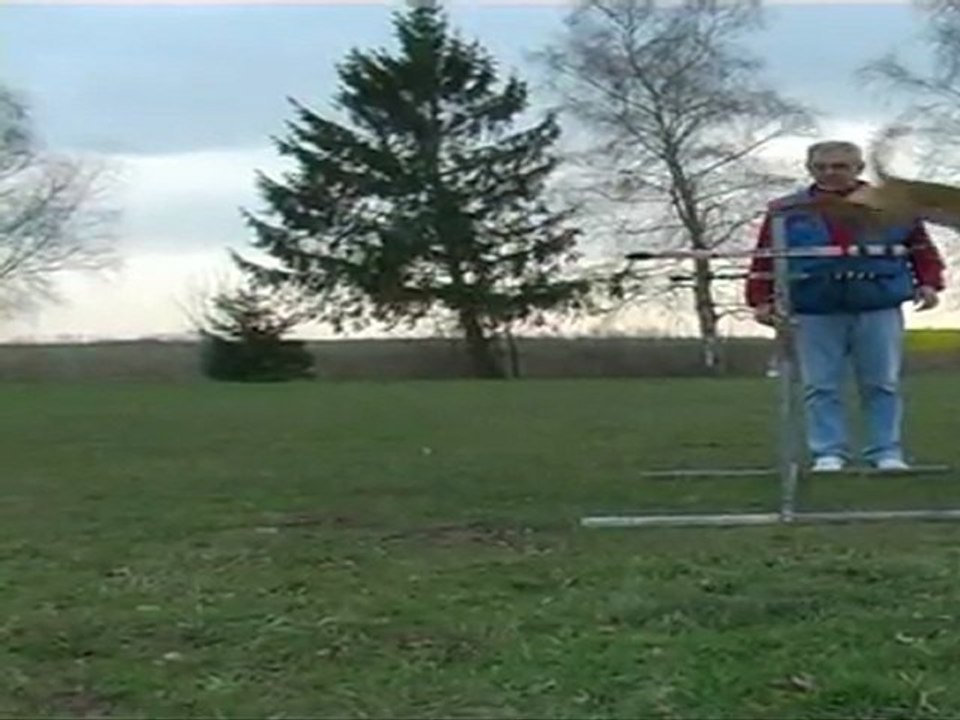 Club Canin Lunévillois - Ring