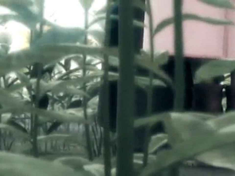 - Til the end of time, forever - Cloud x Aeris -