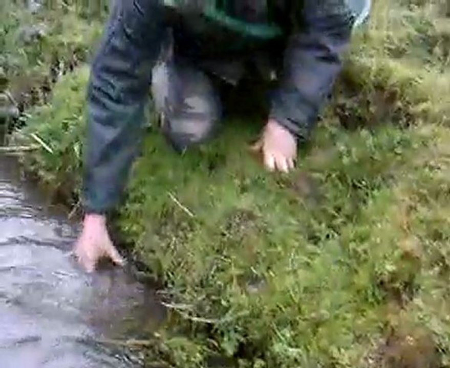 truite de 47cm en ruisseaux