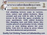 Cat Climbing Towers Entices Your Cat To Exercise