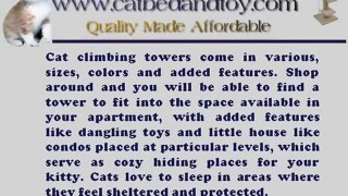 Cat Climbing Towers Entices Your Cat To Exercise