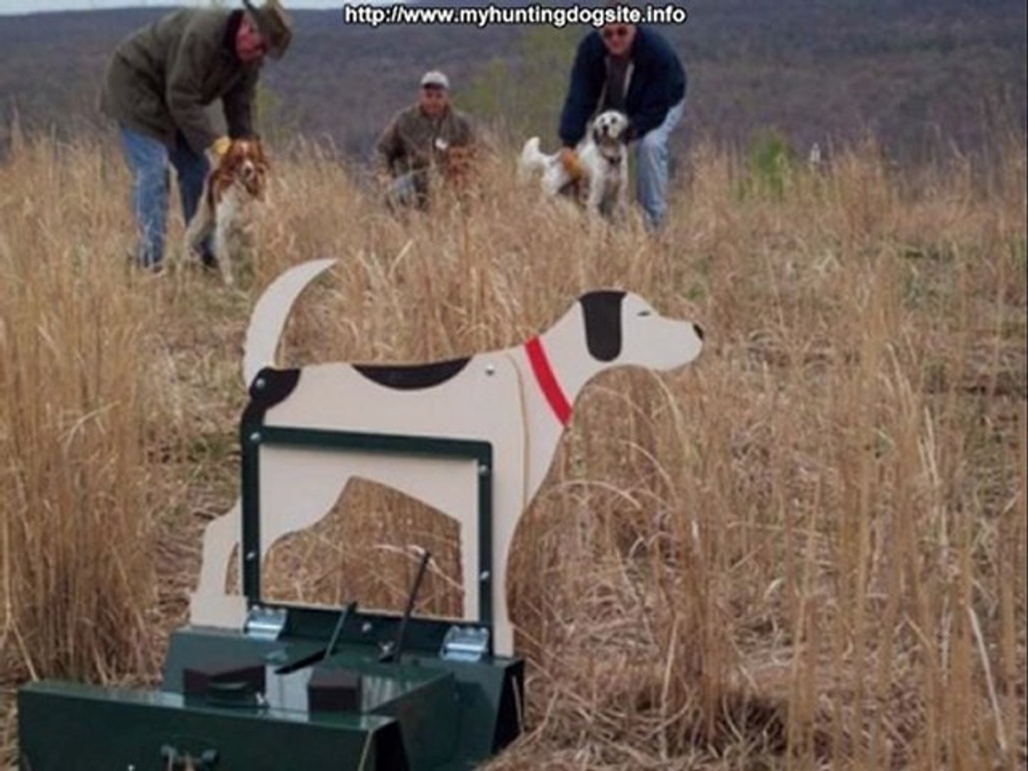 ⁣Hunting Dog Training