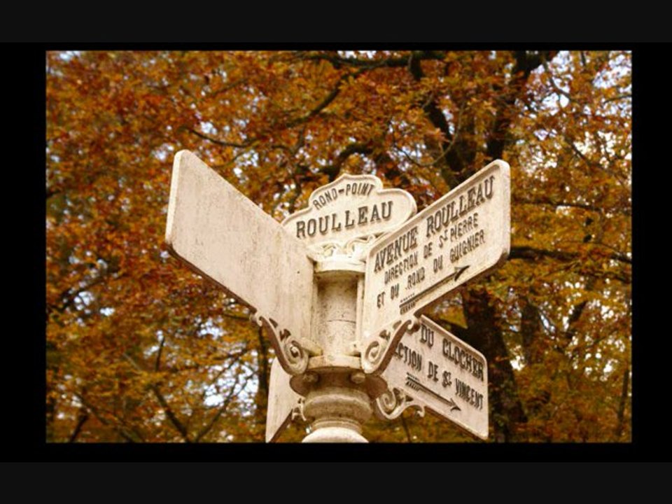 les amis de la fôret