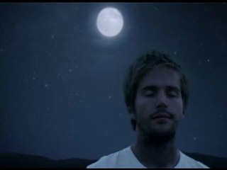 Sleepwalking with dangerous wildlife  / Coca-Cola Superbowl ad.