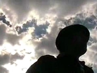 harmonica box in Sydney