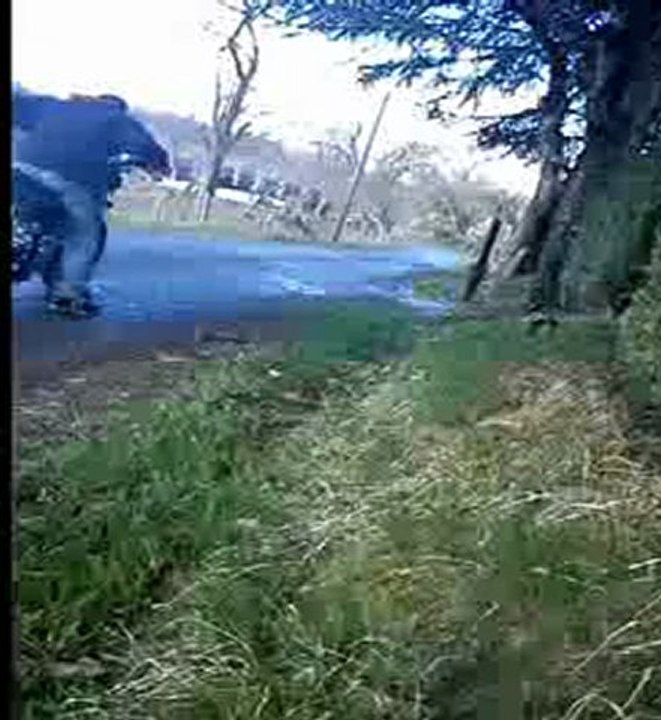 essai proto derbi prépa max46