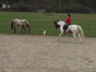 Entrainement Dress club 1 grand prix