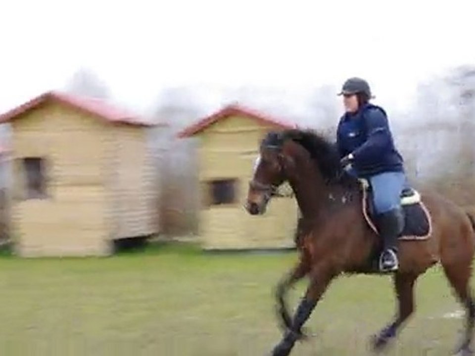entrainement cross 13/03/11 - contre bas / volée