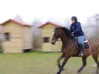 entrainement cross 13/03/11 - contre bas / volée