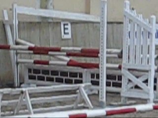 SURPRISE DE TREILLE à la vente AECCP de Boves  13 mars 2011