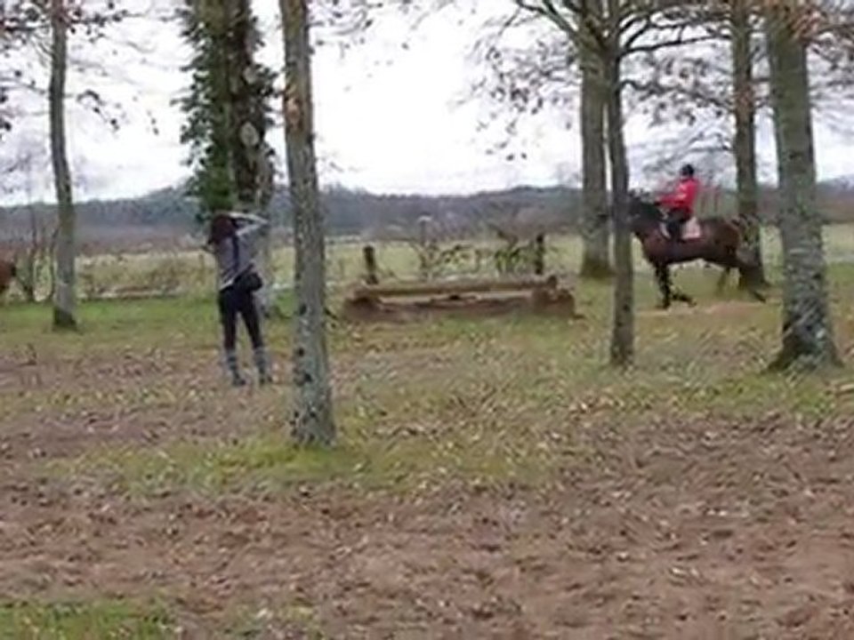 cross edit oceane