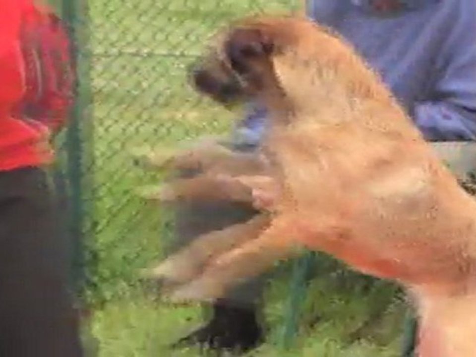 GERARD 1ER DEGRE auch 13032011