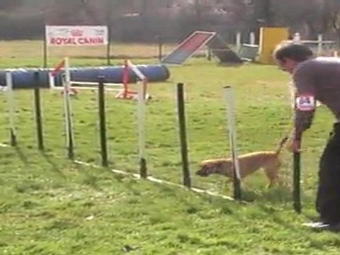 GERARD JUMPING auch 13032011