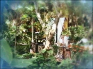 The Reef Playacar Resort All Inclusive Video Tour