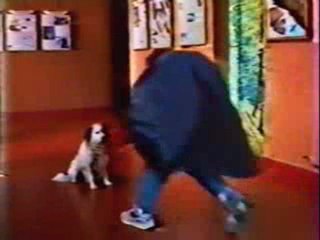 Draculito, le retour de la vengeance 1-1993-S-VHS