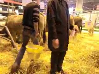 allez hop moi j'm'en vais j'en ais marre !!!! hihi !!!!!