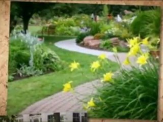 www.Dead-Spots-In-The-Grass.info | liquid lawn fertilizer | liquid fertilizer