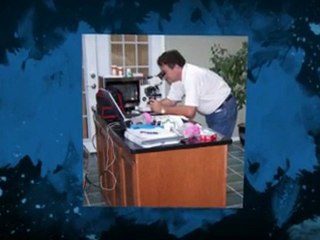 Mold Testing The Colony