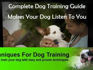 Learn The Best Dog Training Techniques