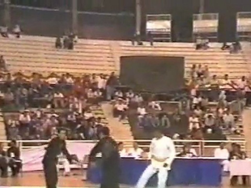 Pencak Silat Martial Arts Indonesia 22