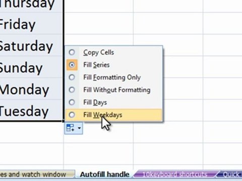 Autofill handle in Excel,excel accountants, Excel Tutorials