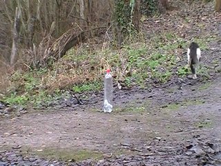 bomb acid hydrochloric