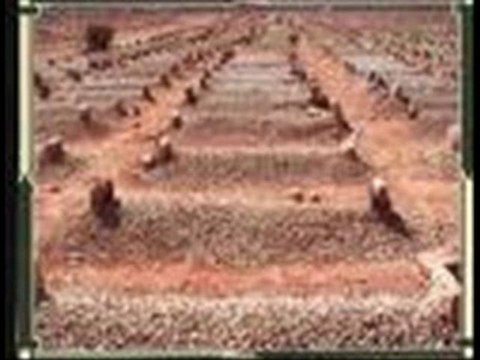 الامام احمد بن حنبل بصوت الشيخ عبد الحميد كشك