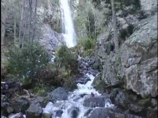 éducation - Les animaux des rivières