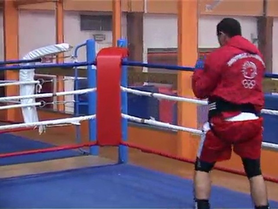 GALA DE BOXE PRO ET AMATEURS LE 18 MARS 2011