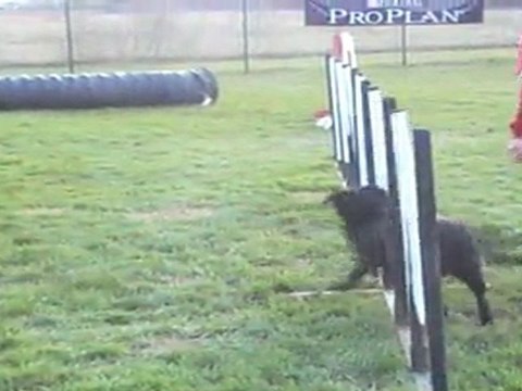 J PAUL JUMPING auch 13032011