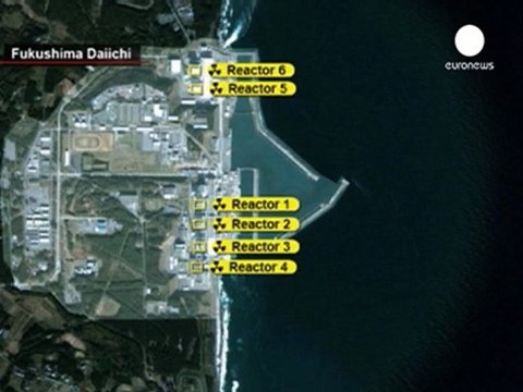 Radiation leaks from Fukushima now harmful