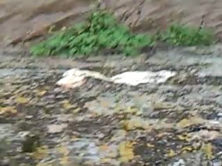 Riviere PEYRIAC-MINERVOIS (2)