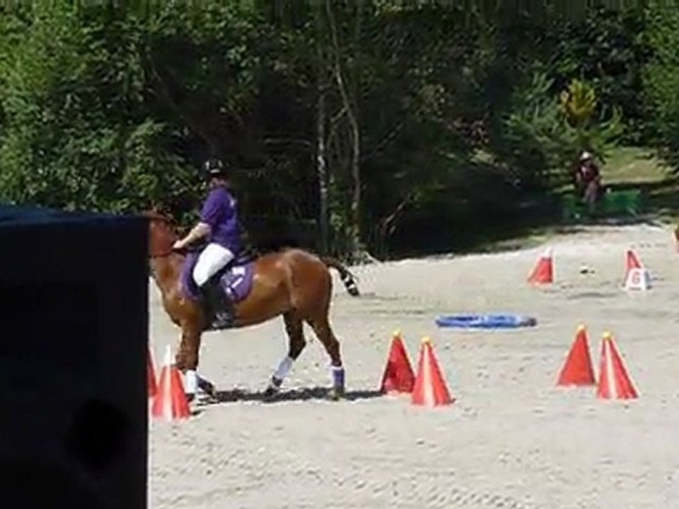 Laura & Pékin, Championnat de France 2010. 2ème Jour