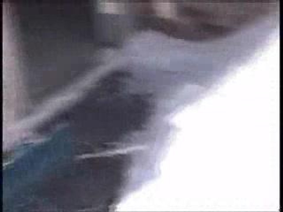 Canadian Beer Fridge