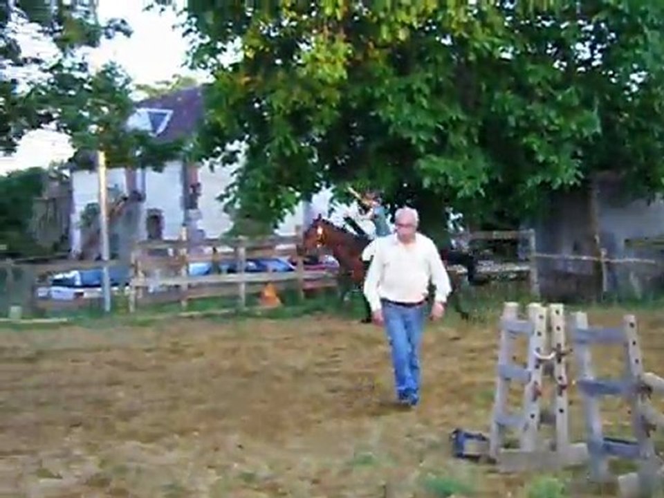 Quidam des prés : ethologie galop monté a cru en liberté
