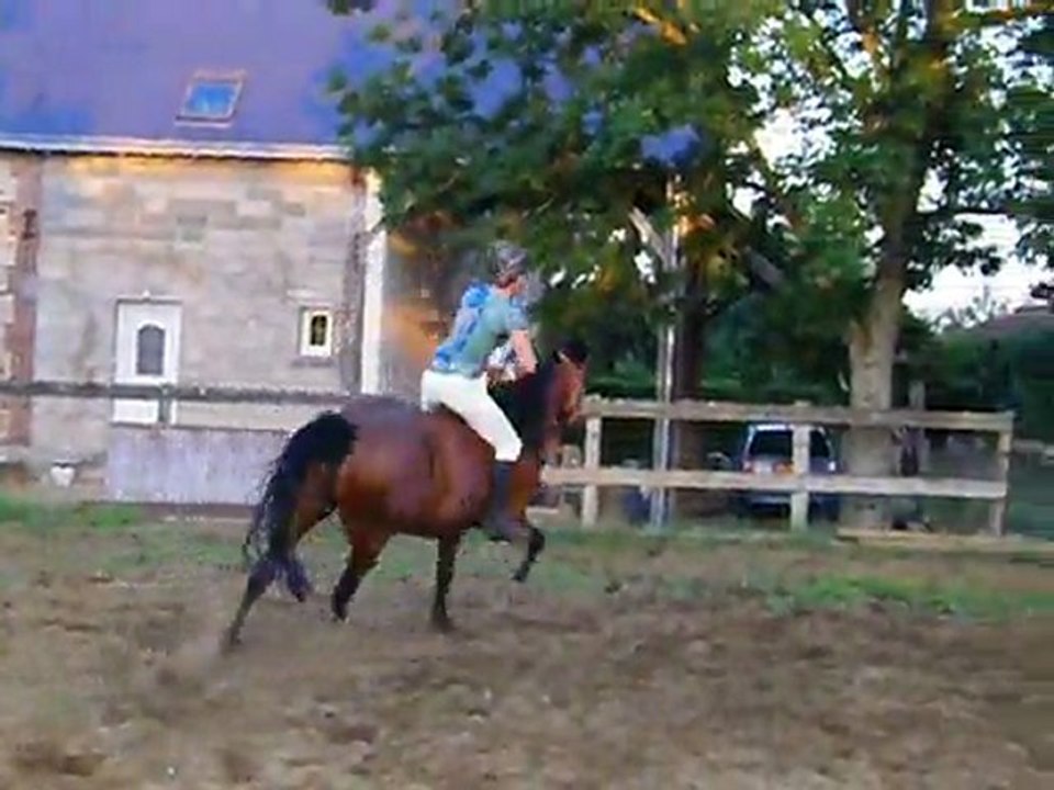 Quidam des prés : saut a cru monté