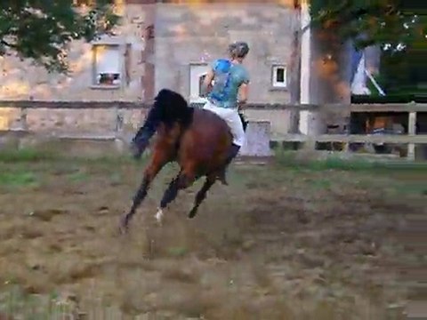 ethologie : saut a cru avec quidam des prés (2)