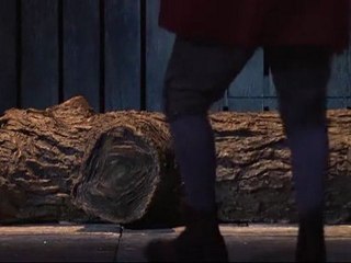 Les aventures de pinocchio en francais