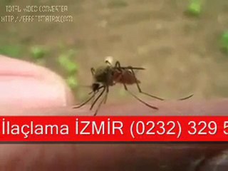 Descargar video: İZMİR ilaçlama   0232 329 59 02 TÜM HAŞERELER İÇİN GARANTİ