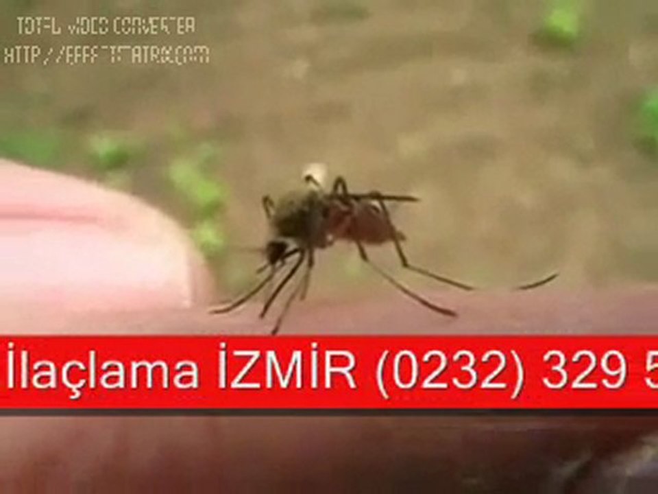İZMİR ilaçlama   0232 329 59 02 TÜM HAŞERELER İÇİN GARANTİ